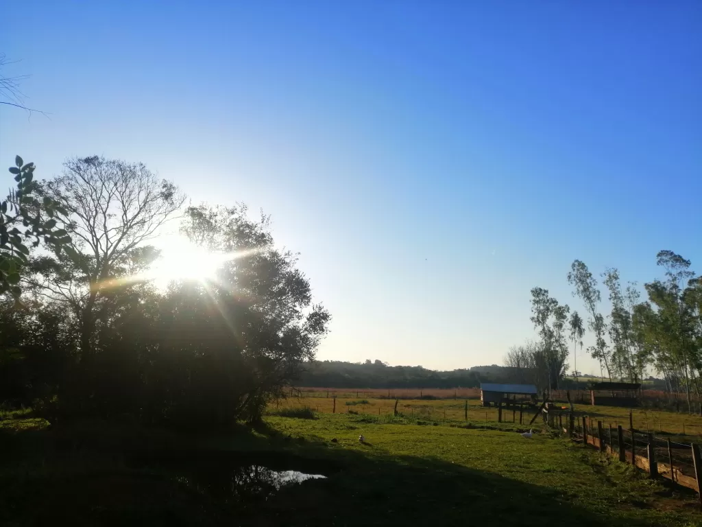 VENDO TERRENO DE 15 HA. ZONA FRAM — foto 3