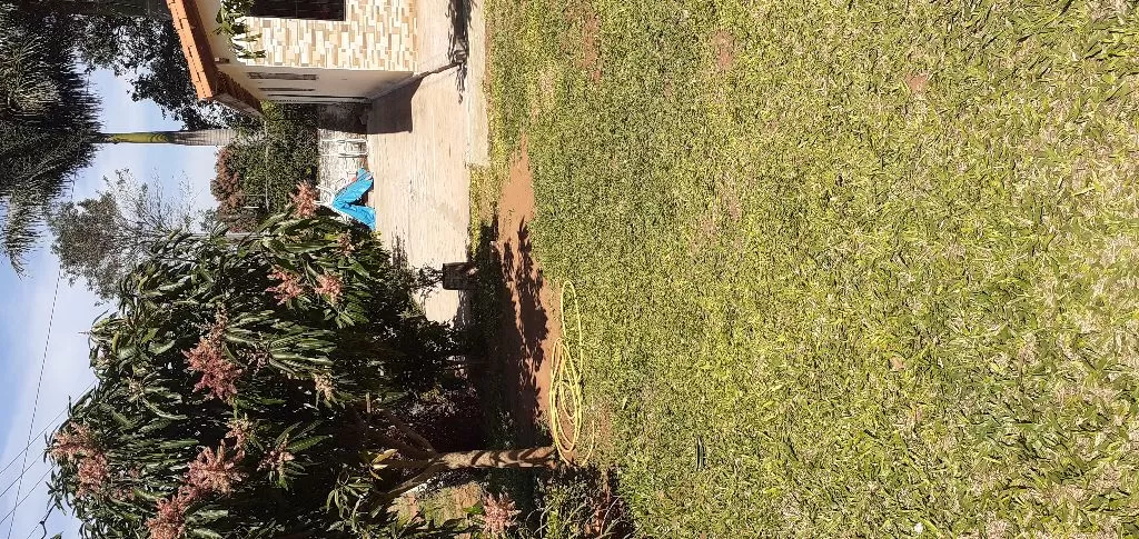 Vendo Hermosa Casa en Capiata Ruta2 km 23 — foto 2