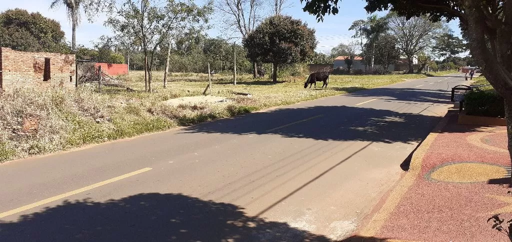 Vendo Hermosa Casa en Capiata Ruta2 km 23 — foto 3