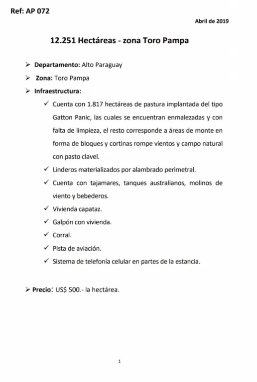 TORO PAMPA, CARMELO PERALTA, TTE. PICO (CHACO): DISPONEMOS DE 10.000 A 20.000 HAS P EXPLO — foto 3
