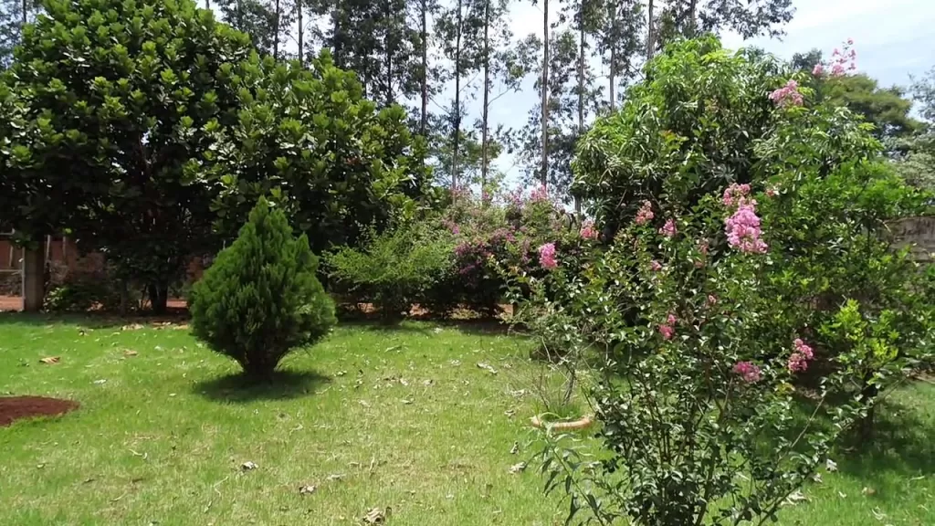 Para amantes de la tranquilidad y la naturaleza! Especial para tu casa quinta! 02 terrenos — foto 2
