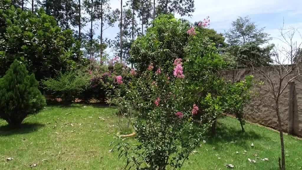Para amantes de la tranquilidad y la naturaleza! Especial para tu casa quinta! 02 terrenos — foto 3