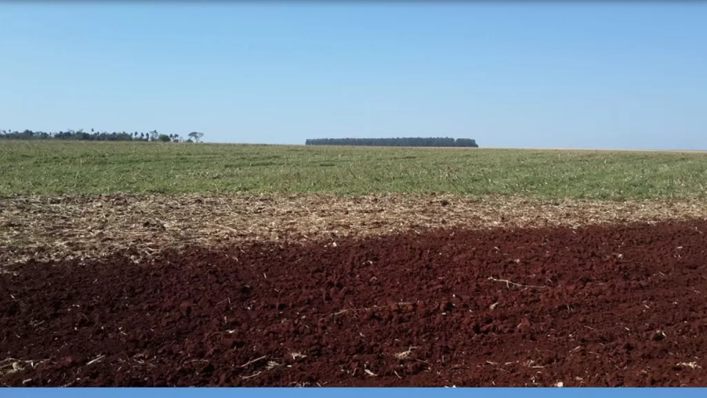 OFERTA 3500 Ha en Itapúa!! Zona de alta producción. — foto 2