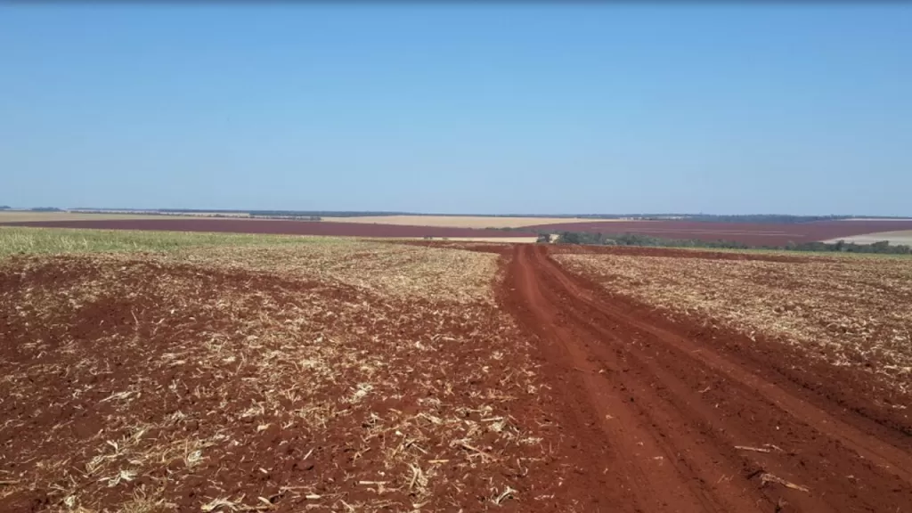 OFERTA 3500 Ha en Itapúa!! Zona de alta producción. — foto 3