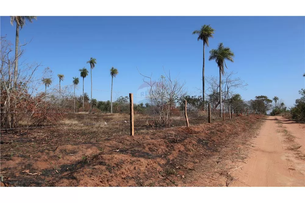 EN VENTA ESTANCIACAMPO - CORDILLERA ATYRA — foto 2