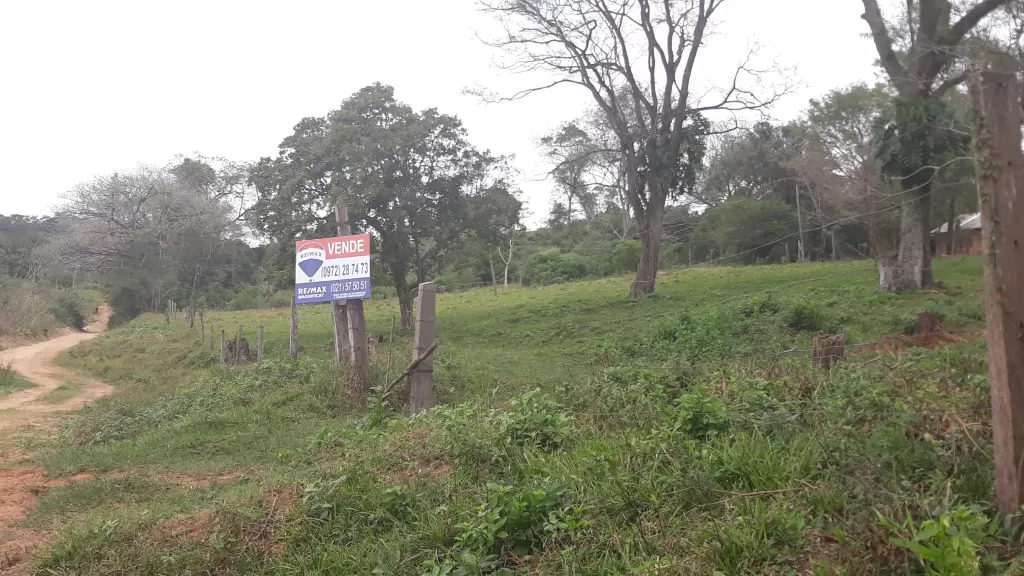 Vendo 25 Hectáreas en RI3Corrales — foto 2