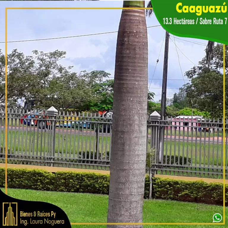 VENTA HERMOSA PROPIEDAD SOBRE LA RUTA N° 7 13,3 HETAREAS CON UNA HERMOSA CASA AMOBLADA — foto 2
