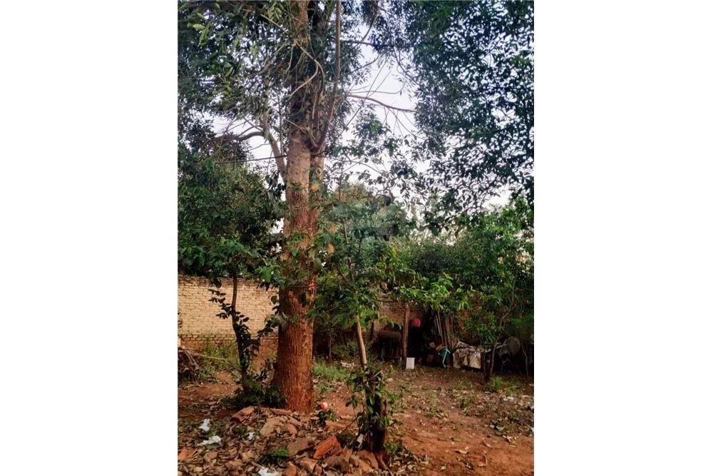 Vendo Chalet En Zona Ruta Luque - San Lorenzo — foto 3