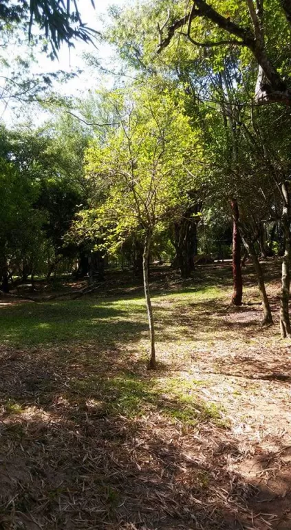 Oferto Paraíso escondido (Casa quinta lindando con el Arroyo Yhacá) — foto 3