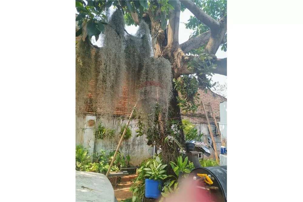 Vendo Casa Sobre Asfalto En Luque! — foto 3
