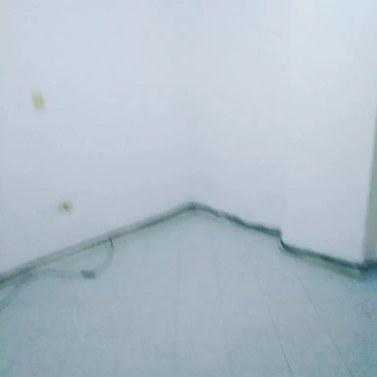 ALQUILO DEPARTAMENTO EN EL CENTRO — foto 2