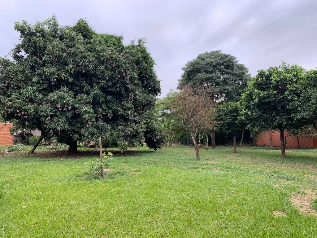 VENDO DOS TERRENOS DE 14X50 EN VILLARRICA A 100 MTS DE RUTA QUE VA A PARAGUARI — foto 3