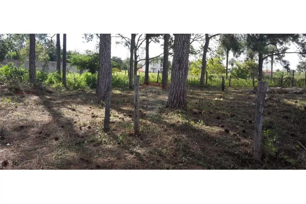VENDO TERRENO EN AREGUA — foto 2