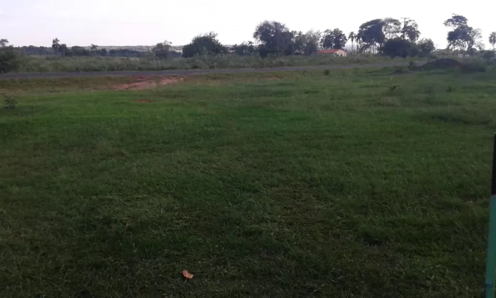 VENDO 20 HA EN CAMPO 9 — foto 2
