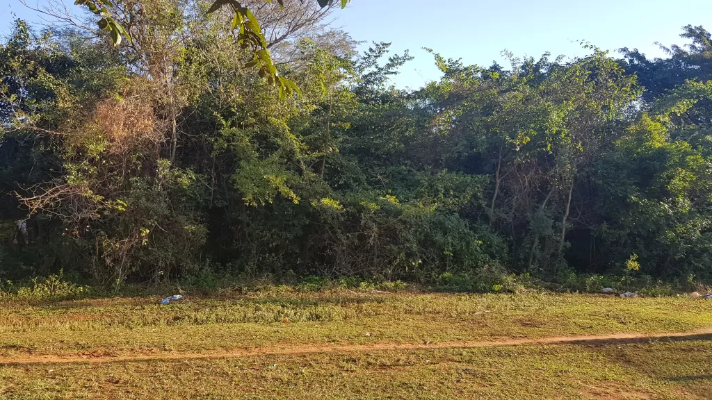 2 terrenos juntos en itaugua a cuadras frente al centro nikkei — foto 2