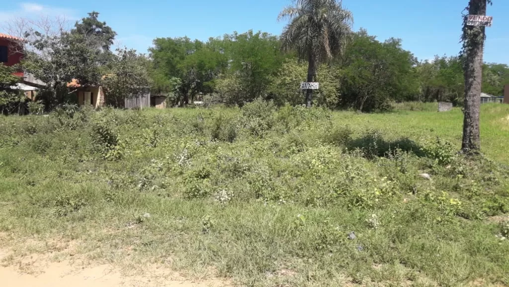 VENDO TERRENO — foto 3