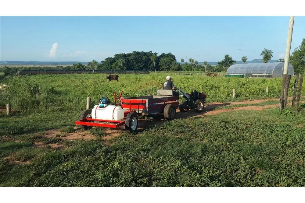 VENDO GRANJA HORTICOLA EN NVA ITALIA 4 HA — foto 2