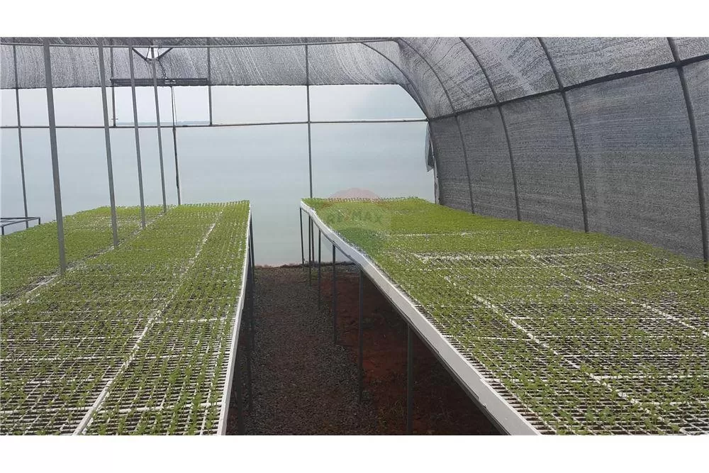 VENDO GRANJA HORTICOLA EN NVA ITALIA 4 HA — foto 3