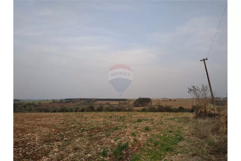 VENDO CAMPO DE 36 HAS EN LA PAZ - ITAPÚA — foto 2