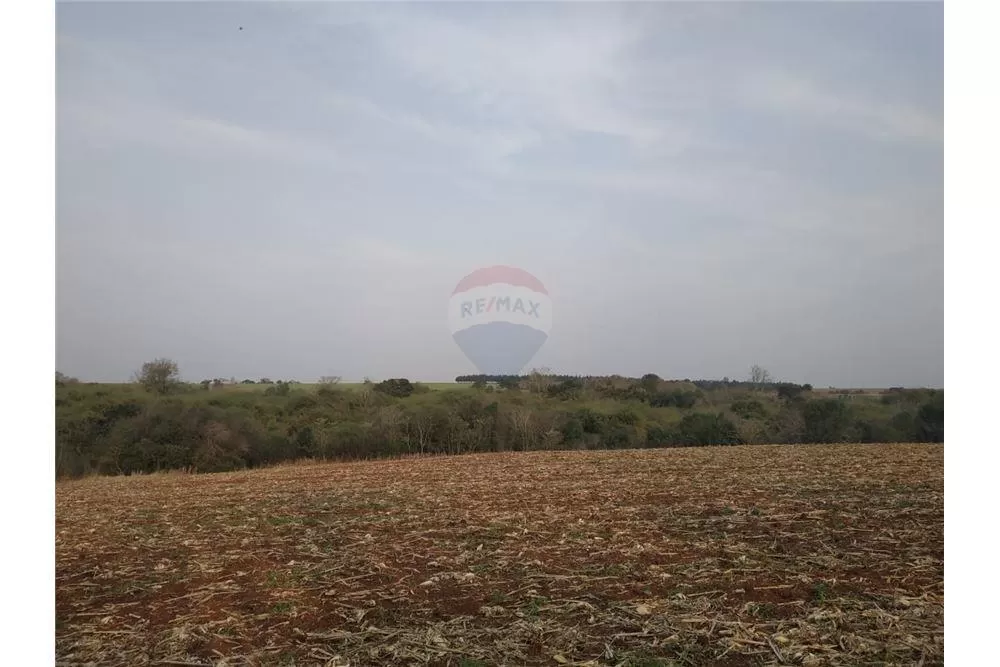 VENDO CAMPO DE 36 HAS EN LA PAZ - ITAPÚA — foto 3
