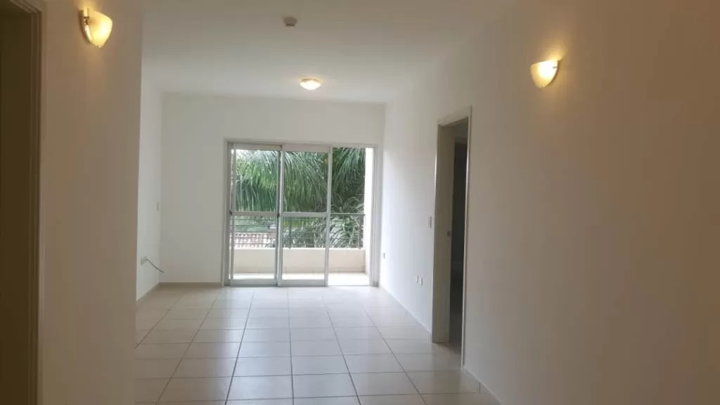 VENDO HERMOSOS DEPARTAMENTOS EN EL BARRIO MBURICAO, ASUNCION. — foto 2