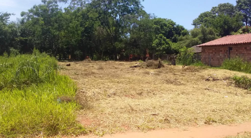 Terrenos — foto 2