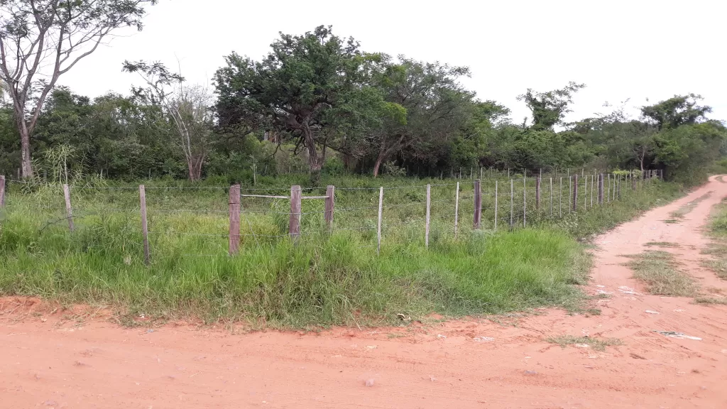 VENDO 1200 M2 DE TERRENO CON ESQUINA EN LIMPIO — foto 2