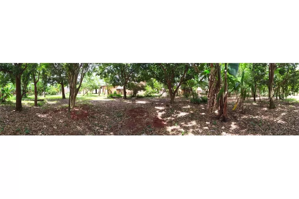 EXCELENTE TERRENO DE 40 X 65 EN PRESIDENTE FRANCO — foto 3