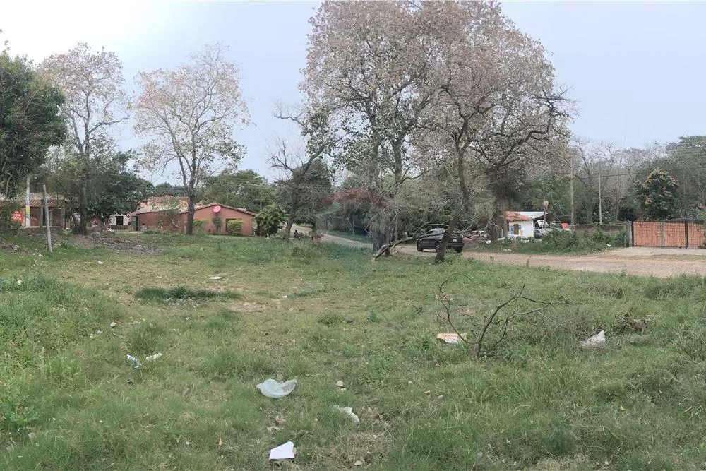 VENDO TERRENO EN SAN BERNARDINO 504m2 — foto 3