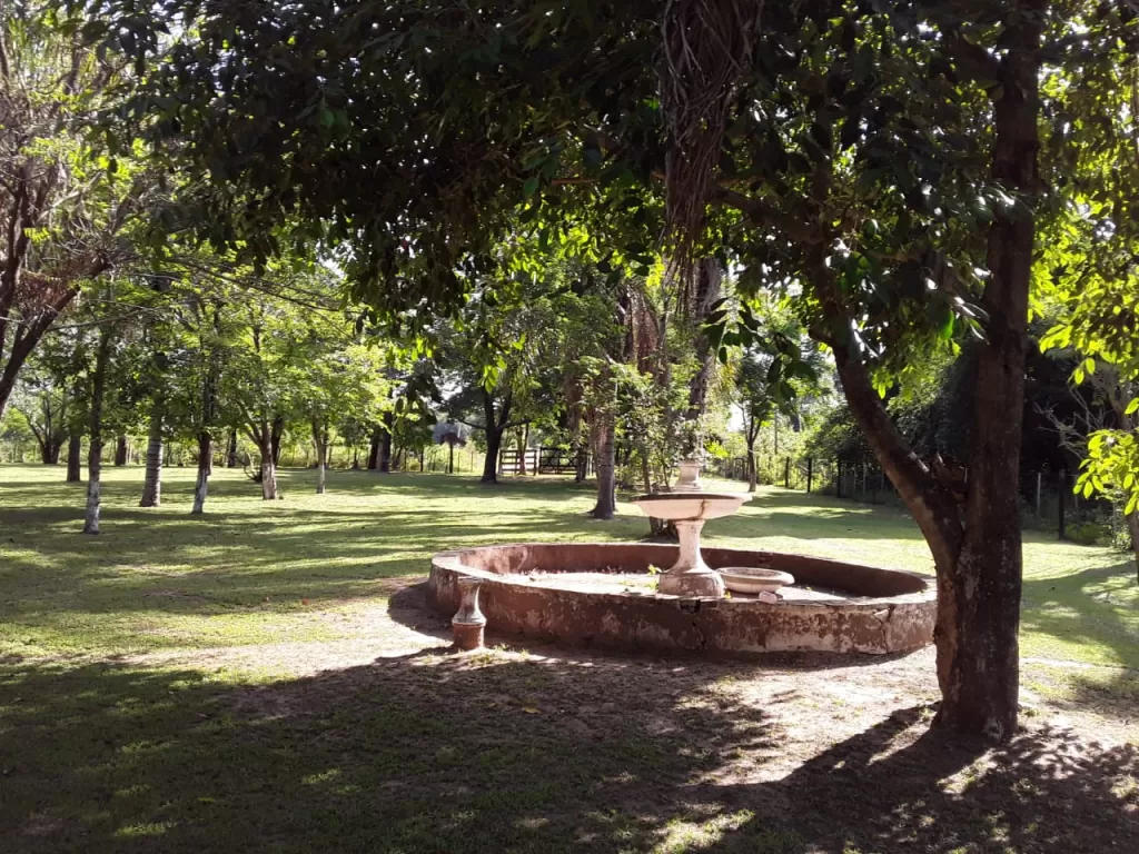 Terreno en Nueva Colombia Cordillera — foto 3