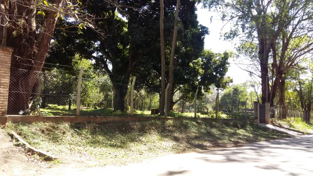 VENDO 15.825 mts2 ( una hectarea y media) TITULADO — foto 2
