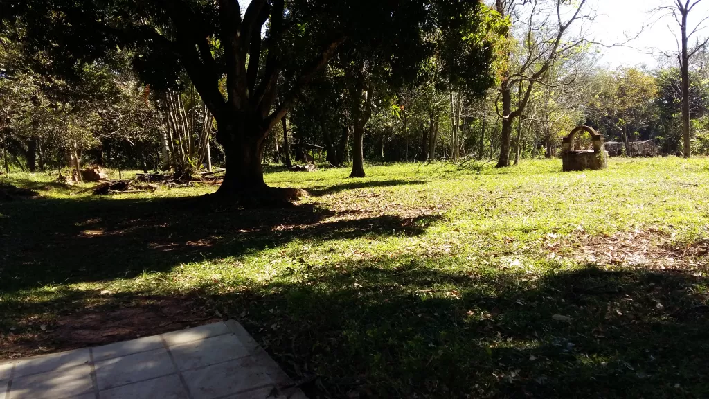 VENDO 15.825 mts2 ( una hectarea y media) TITULADO — foto 3