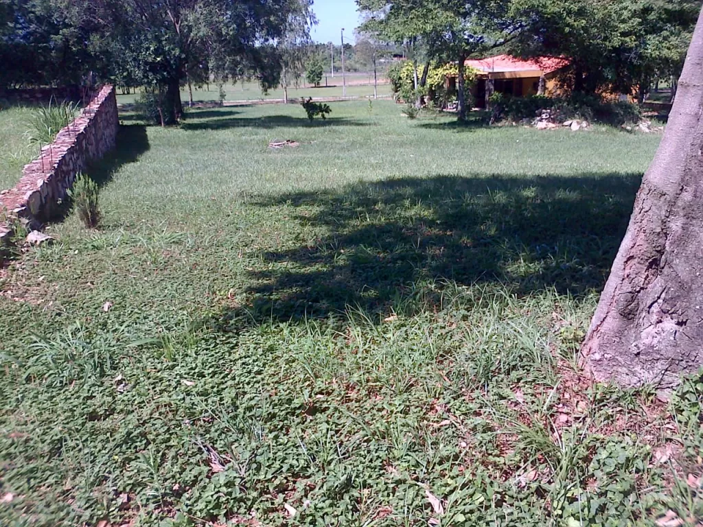 TERRENO EN BARRIO CERRADO PILAR DEL ESTE - YPANE — foto 3