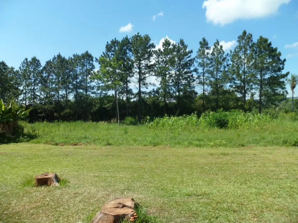 Remato Granja de 12 Hectáreas — foto 2