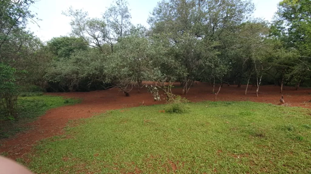 Terreno — foto 2