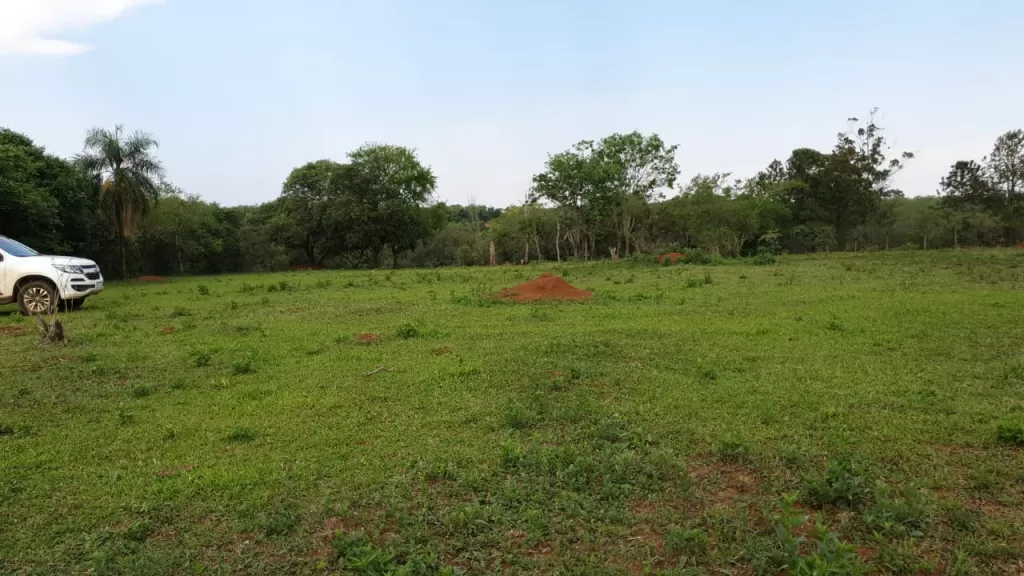 Terreno — foto 3
