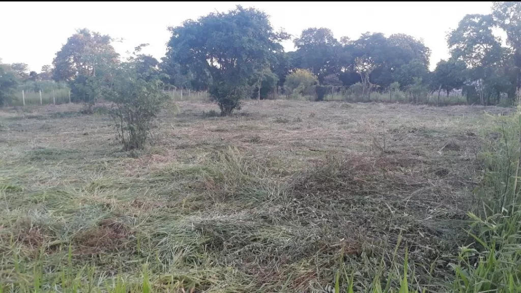 4 TERRENOS BIEN PLANO y firme de 12m×30m, 1.440m². En Ciudad del Este Paraguay. Km8.mon — foto 3