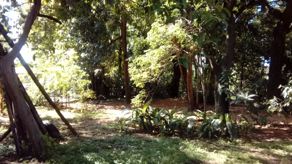 buenisimo terreno ubicado sobre avenida Cacique — foto 3