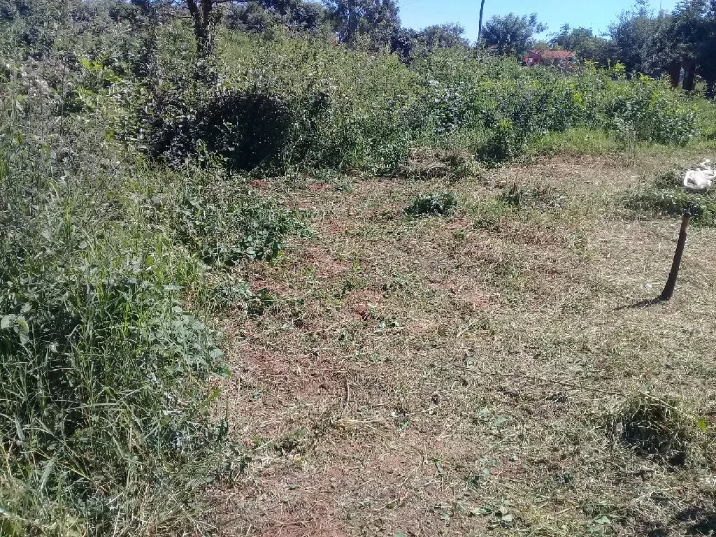 Terreno 12x30 titulado impuesto al día. — foto 3