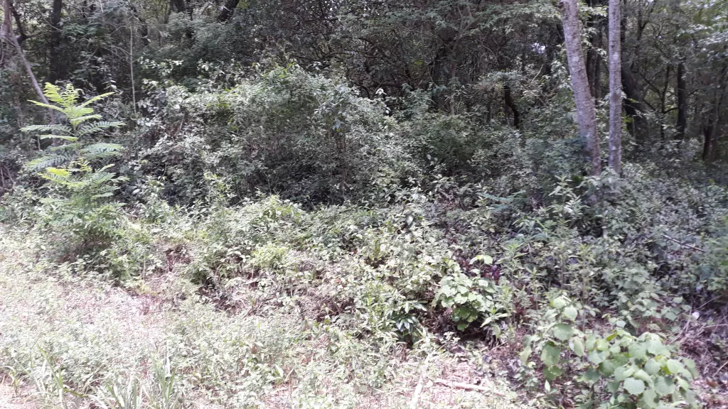 Vendo terreno en samber — foto 2