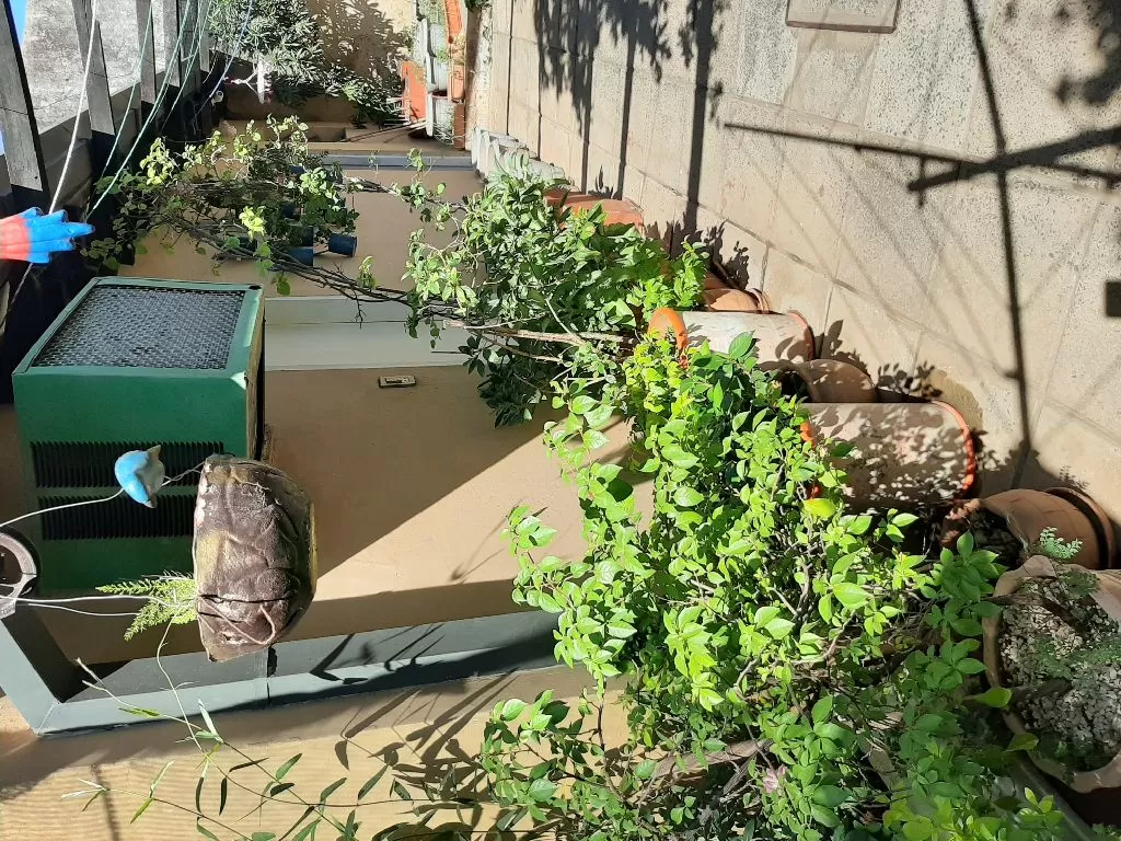 Super Oferta-Casa en Lambare - Zona Ravasco — foto 3