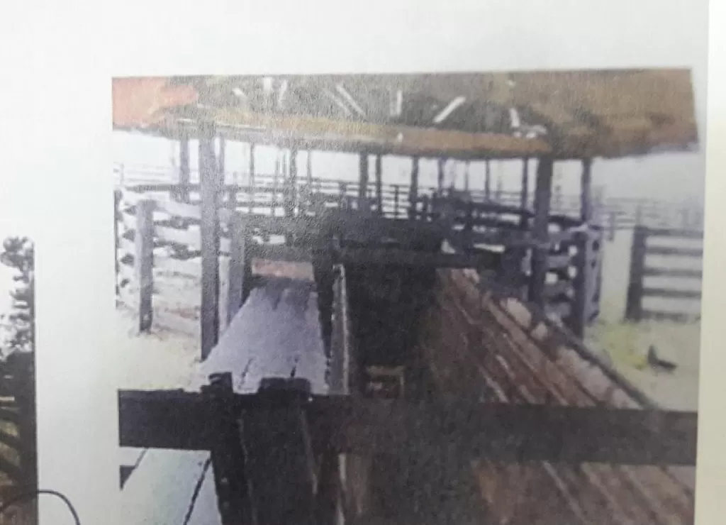 BAHIA NEGRA, ALTO PARAGUAY: 1.060 HECTÁREAS, C MEJORAS, PASTURAS, TAJAMARES, ETC. — foto 2