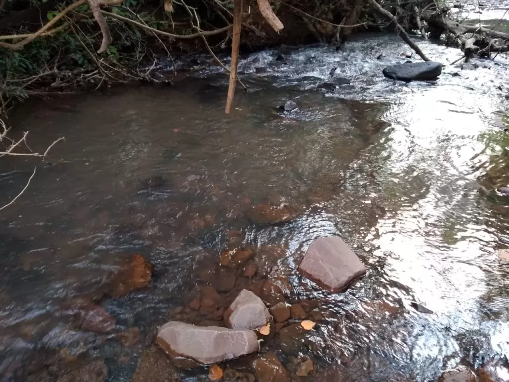 COL. SOLDADO GUARANÍ, MCAL ESTIGARRIBIA, BOQUERÓN:4.000 HAS DE RESERVA IDEAL P DESARROLLO — foto 2