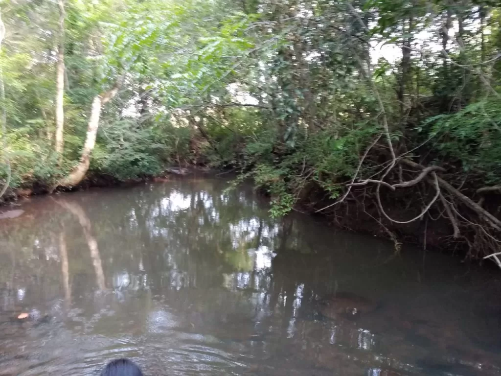 COL. SOLDADO GUARANÍ, MCAL ESTIGARRIBIA, BOQUERÓN:4.000 HAS DE RESERVA IDEAL P DESARROLLO — foto 3