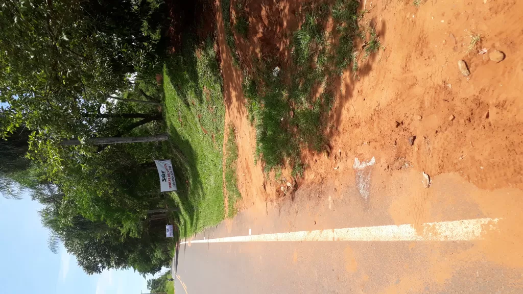 Nuevo loteamiento en itaugua potrero — foto 3