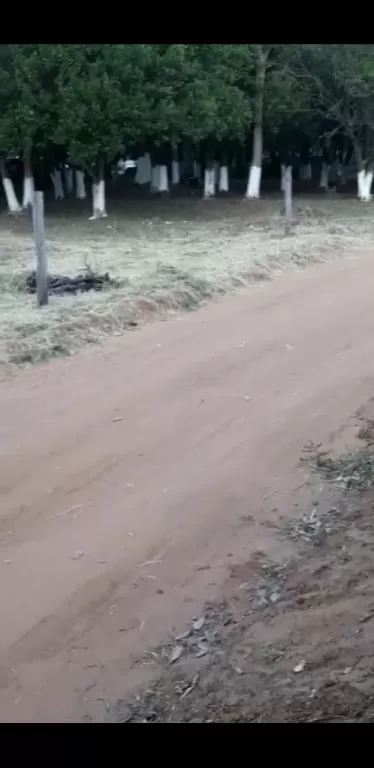 Oferta de 1 ha en Atyra — foto 2