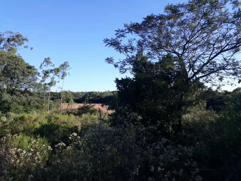 11 ha. en Acuña Altos — foto 3