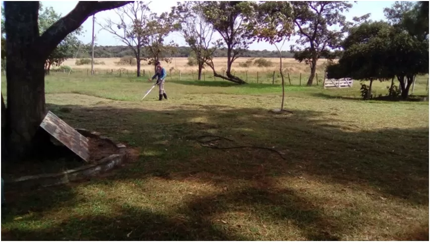 SAN RAFAEL (ITAPÚA, PROX. ENCARNACIÓN): 943 HAS, AGRO GANADERAS, BOSQUES, ARROZALES. — foto 2
