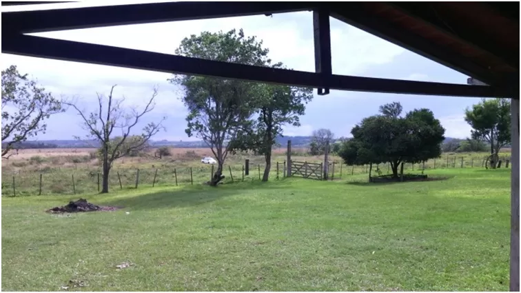 SAN RAFAEL (ITAPÚA, PROX. ENCARNACIÓN): 943 HAS, AGRO GANADERAS, BOSQUES, ARROZALES. — foto 3