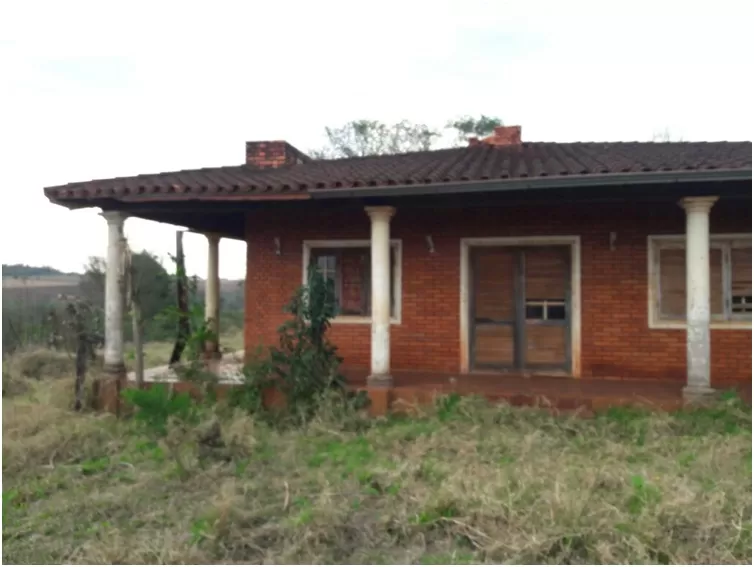 MONDAY (MINGA GUAZÚ – ALTO PARANÁ): 21 MARAVILLOSAS HECTÁREAS, AGRO FORESTALES, SOJERAS. — foto 2